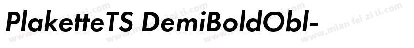 PlaketteTS DemiBoldObl字体转换